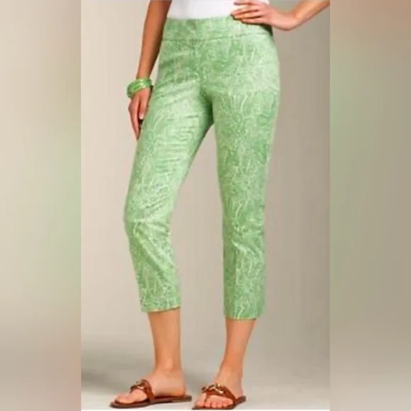 Talbots green paisley "Curvy" w/ vent pants sz 6P - Picture 1 of 9